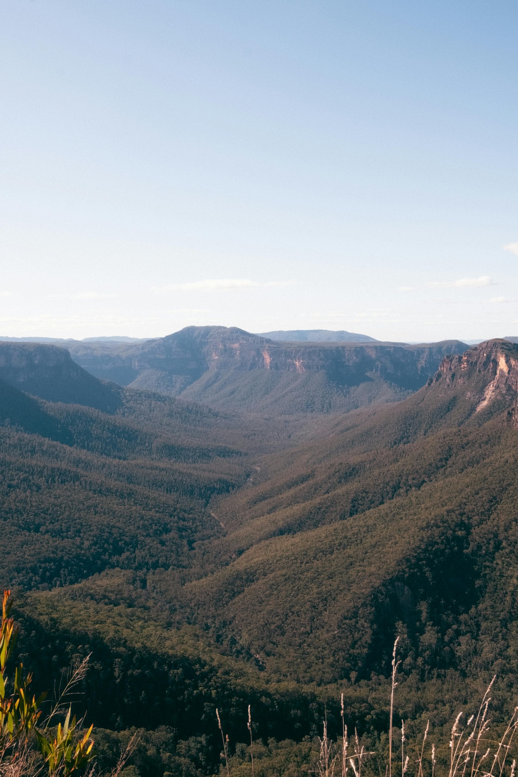 Blue Mountains city guide