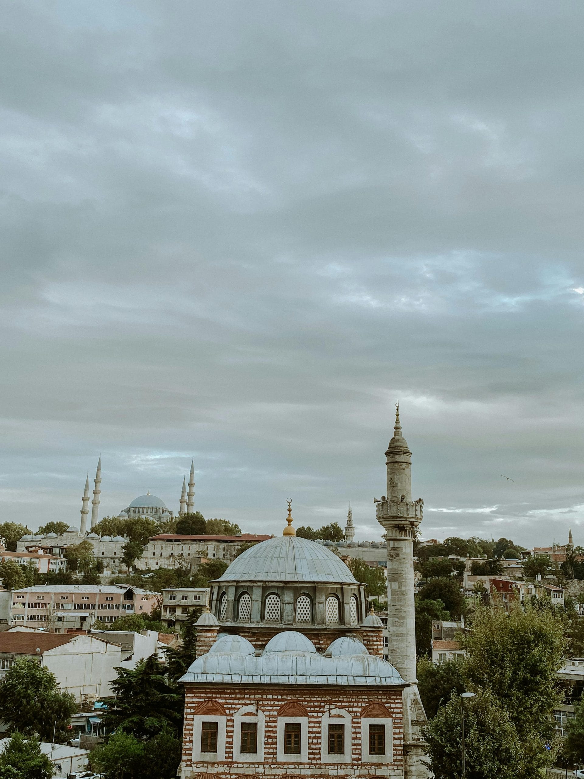 Istanbul Elegance: A Guide to Bosphorus Luxury Hotels A view of Bosphorus luxury hotels and the Istanbul waterfront