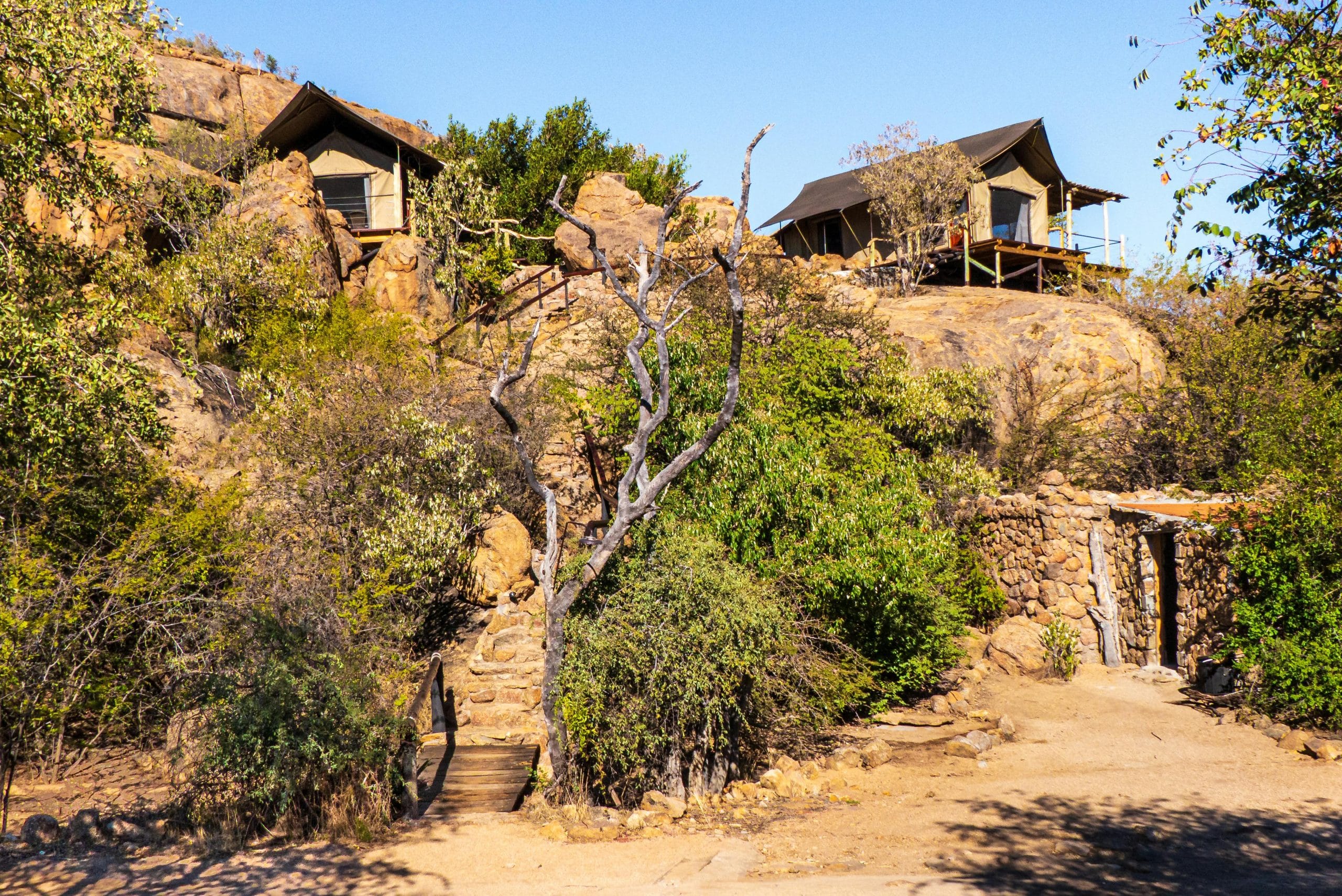 Architectural luxury safari lodges in the African wilderness at dawn