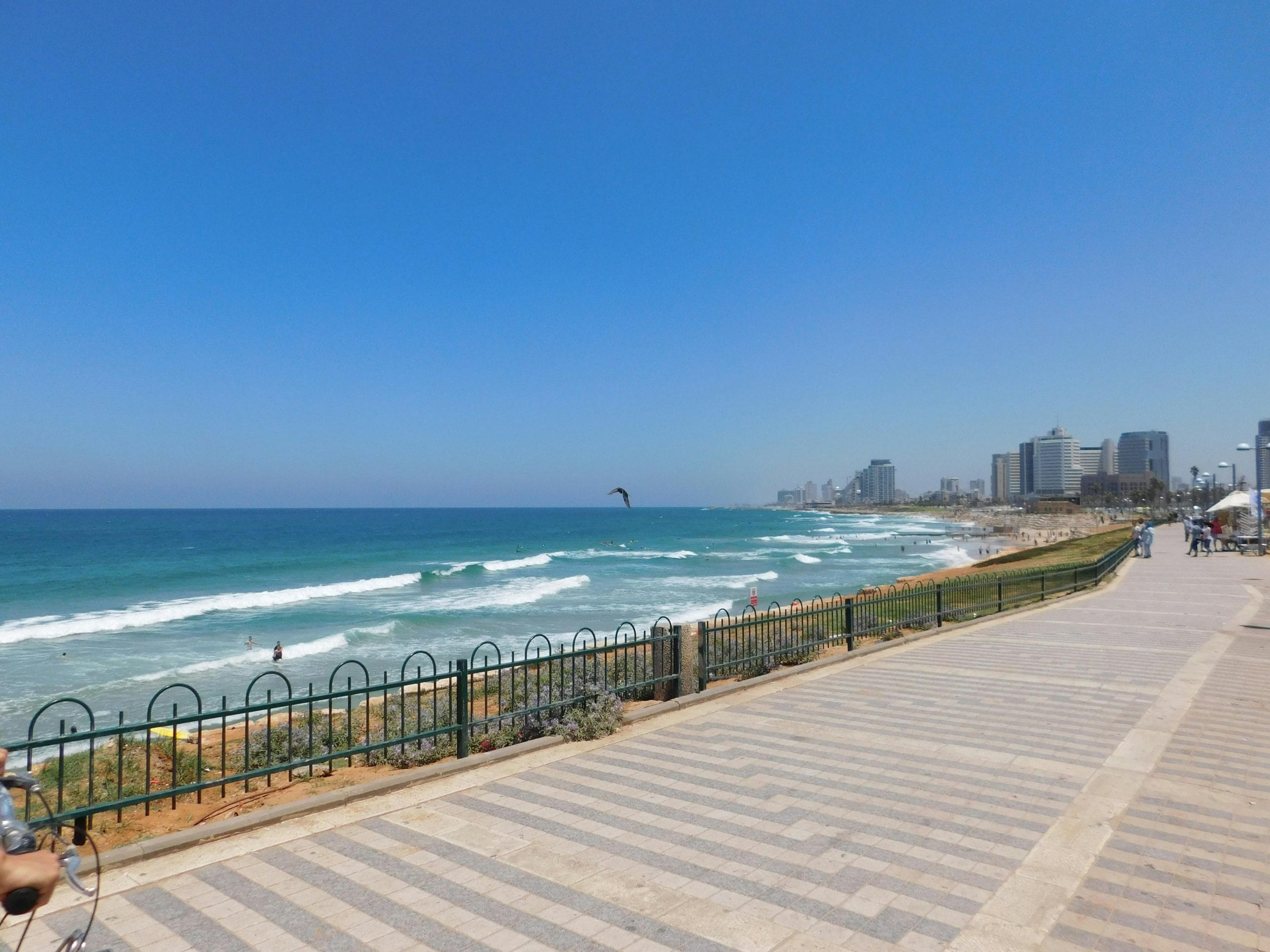 Luxury coastal stays Tel Aviv beachfront view