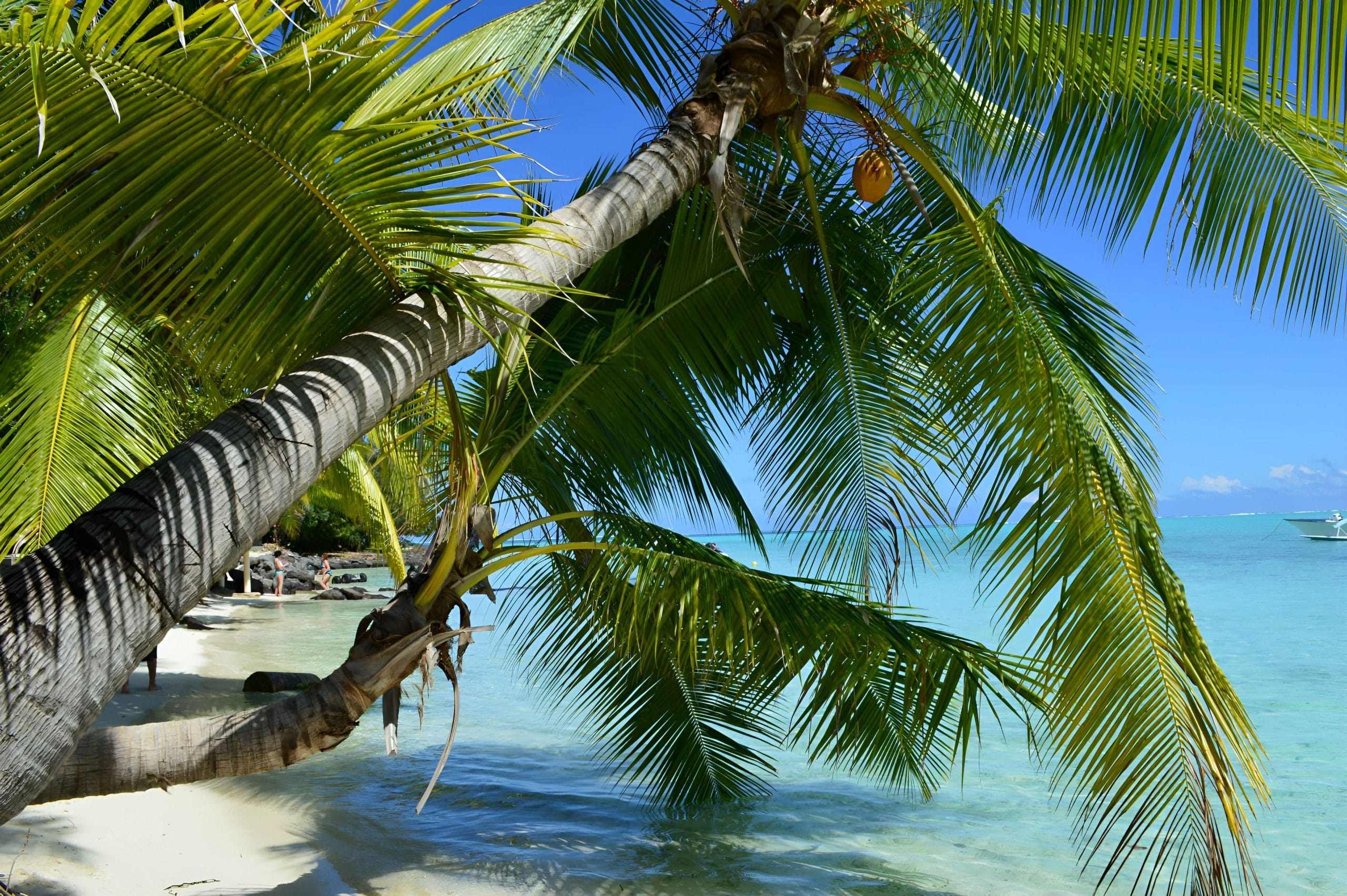 A serene view of luxury overwater villas Bora Bora in French Polynesia