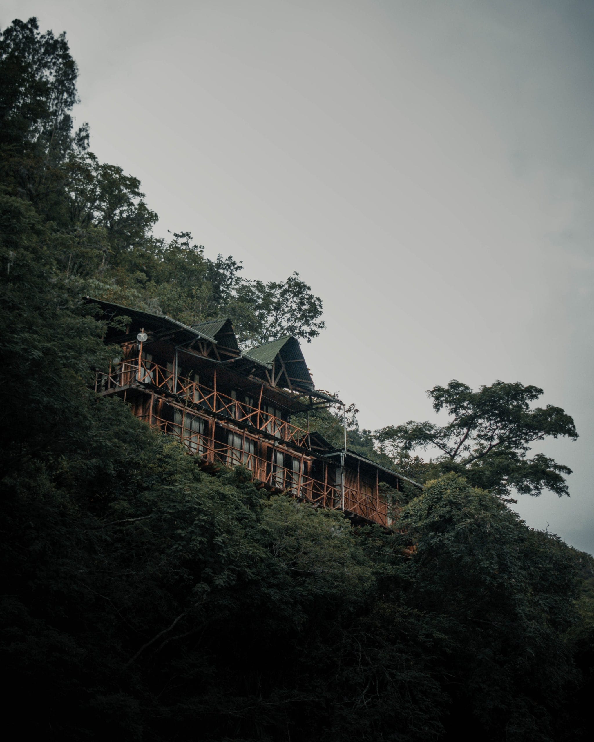 The Art of Stillness in Luxury Rainforest Eco-Lodges An elegant vista of luxury rainforest eco-lodges nestled in a lush canopy.