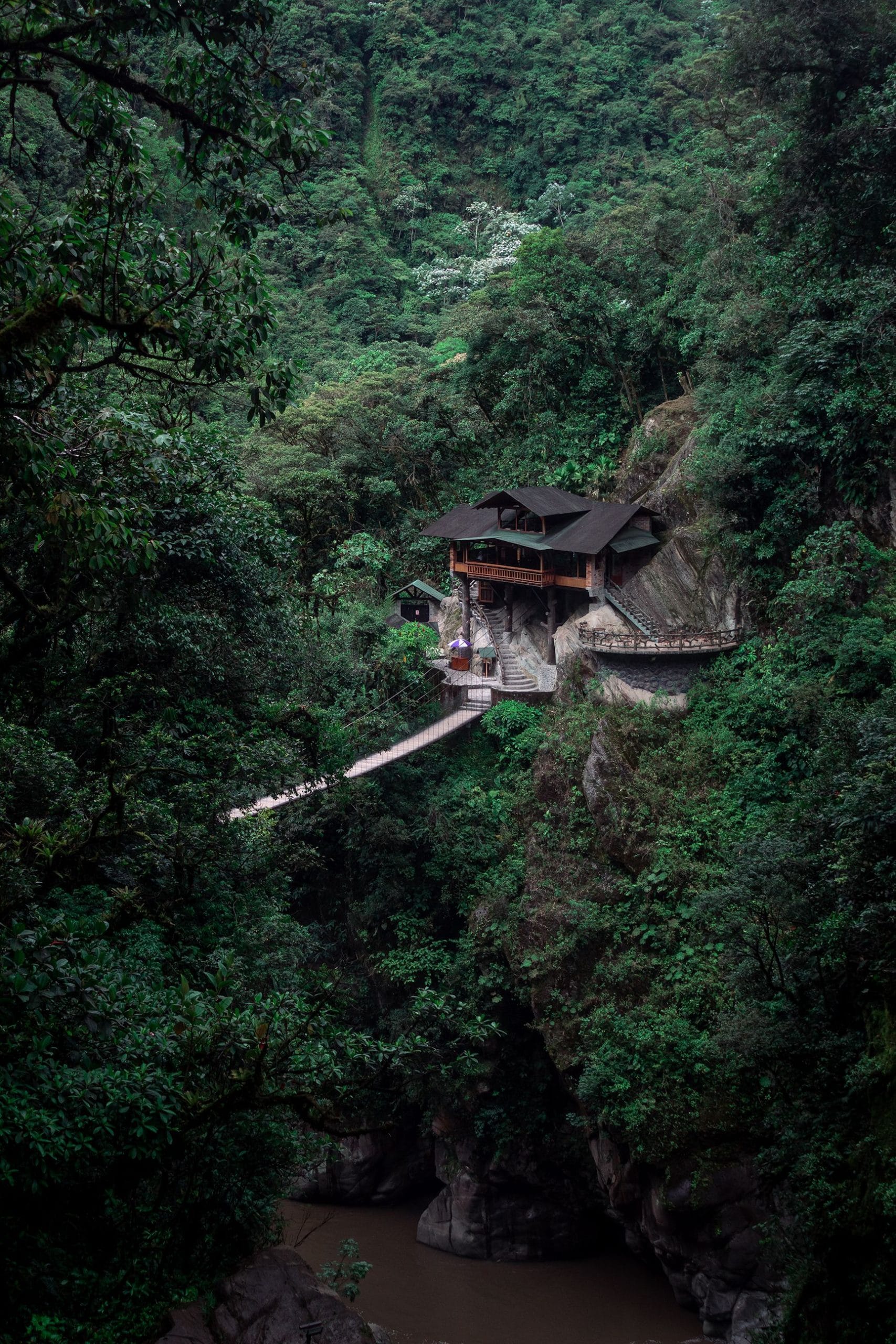 The Art of Stillness in Luxury Rainforest Eco-Lodges An elegant vista of luxury rainforest eco-lodges nestled in a lush canopy.