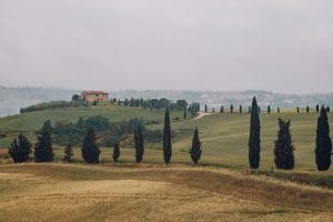 luxury vineyard estates tuscany 1