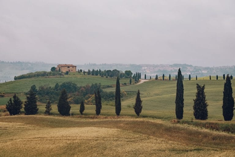 luxury vineyard estates tuscany 1
