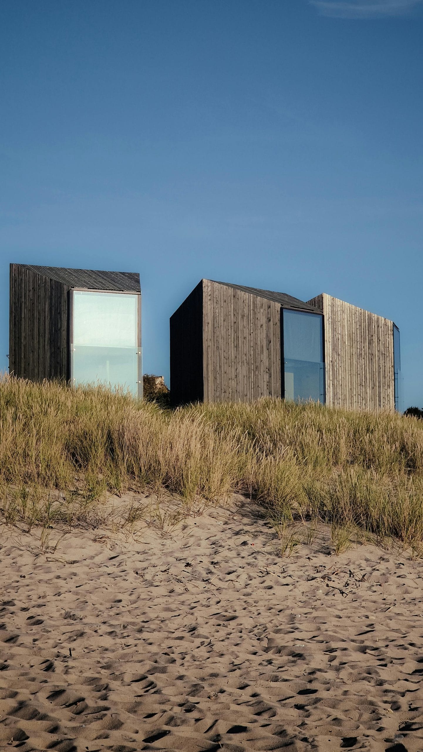 A serene architectural view of minimalist nature retreats on a coastline