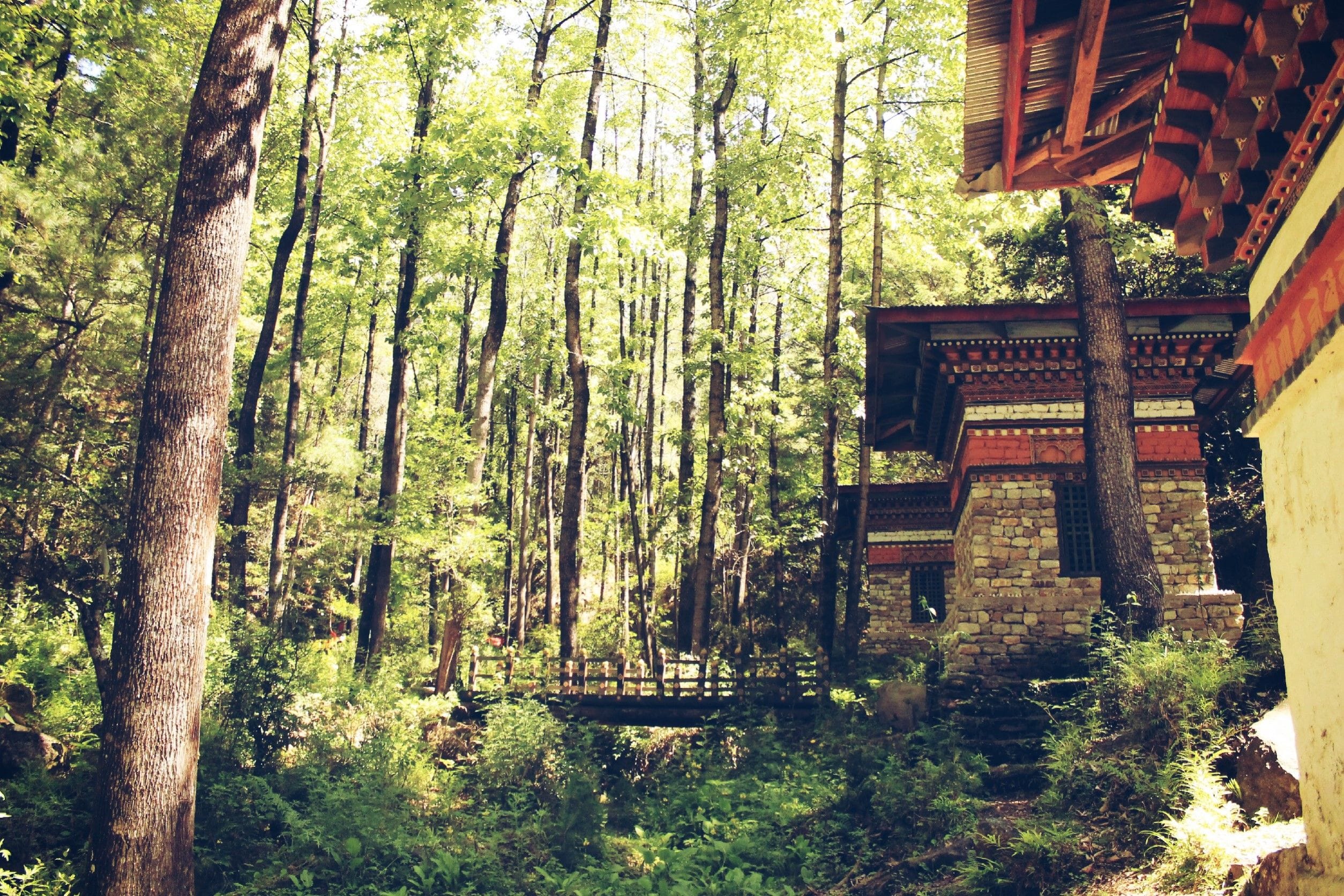 Discover the Quiet Allure of Luxury Escapes in Bhutan A serene landscape reflecting luxury escapes in Bhutan