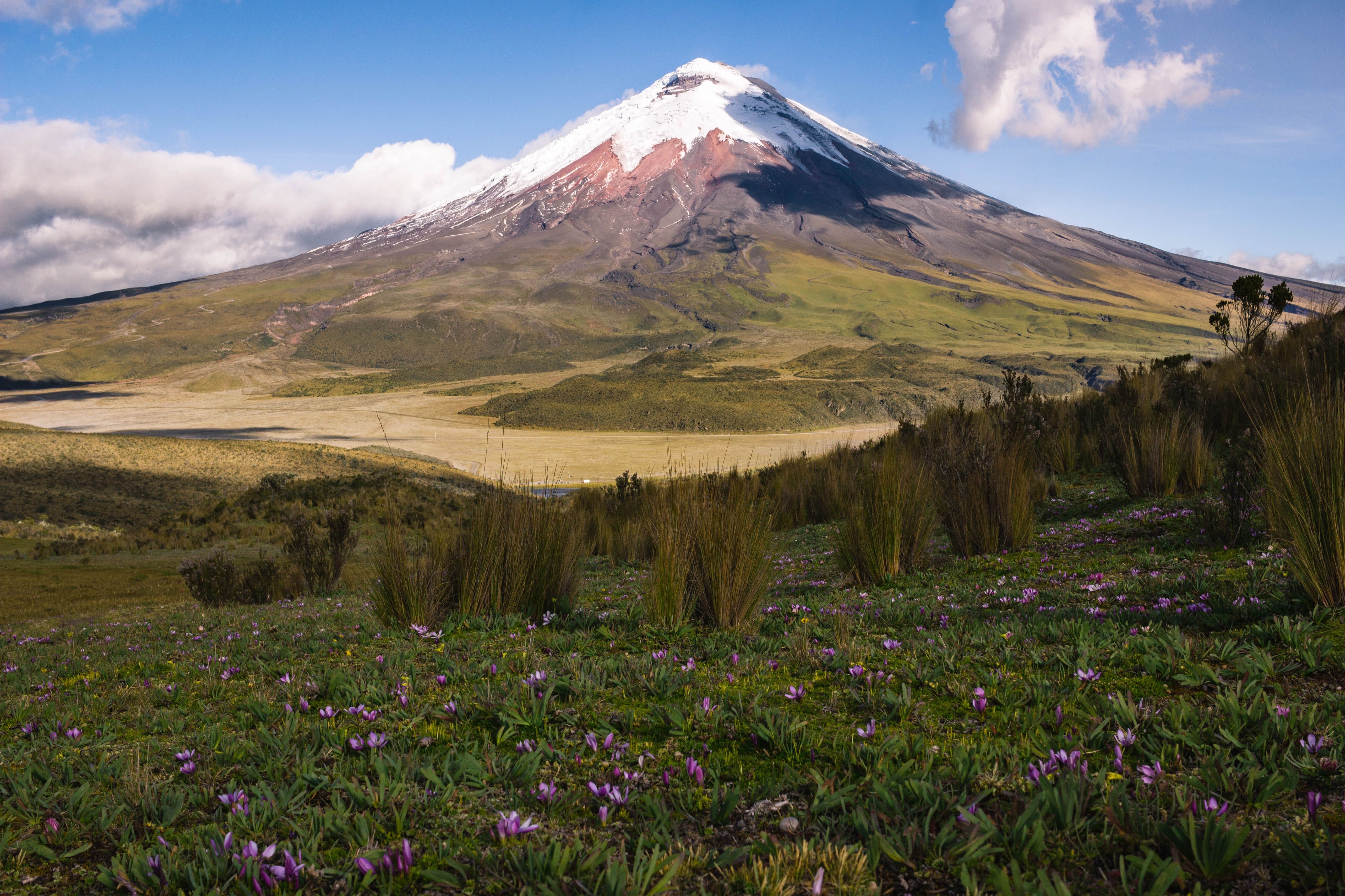 A serene view of Ecuador highlands luxury retreats blending with the Andean landscape