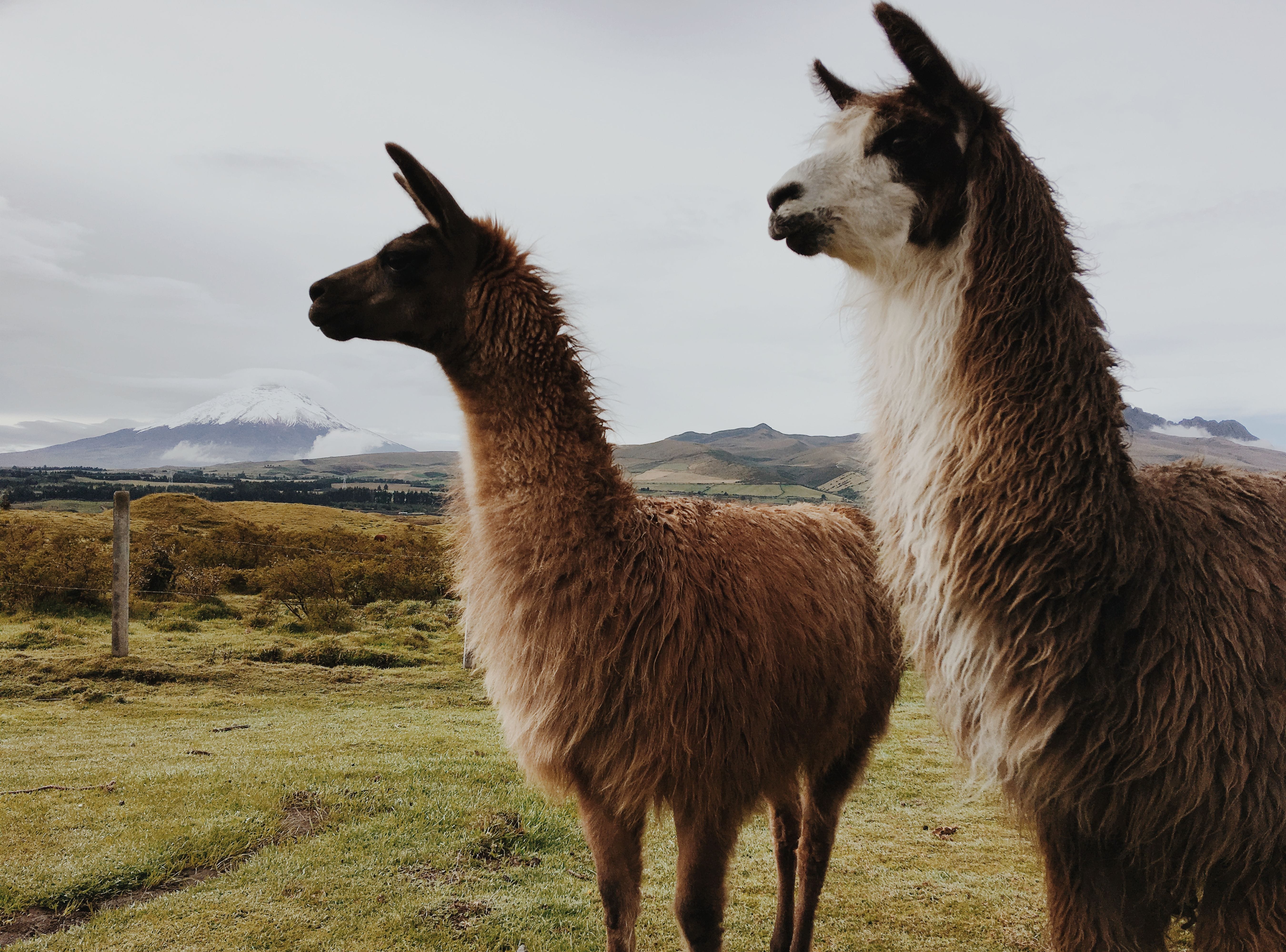 A serene view of Ecuador highlands luxury retreats blending with the Andean landscape