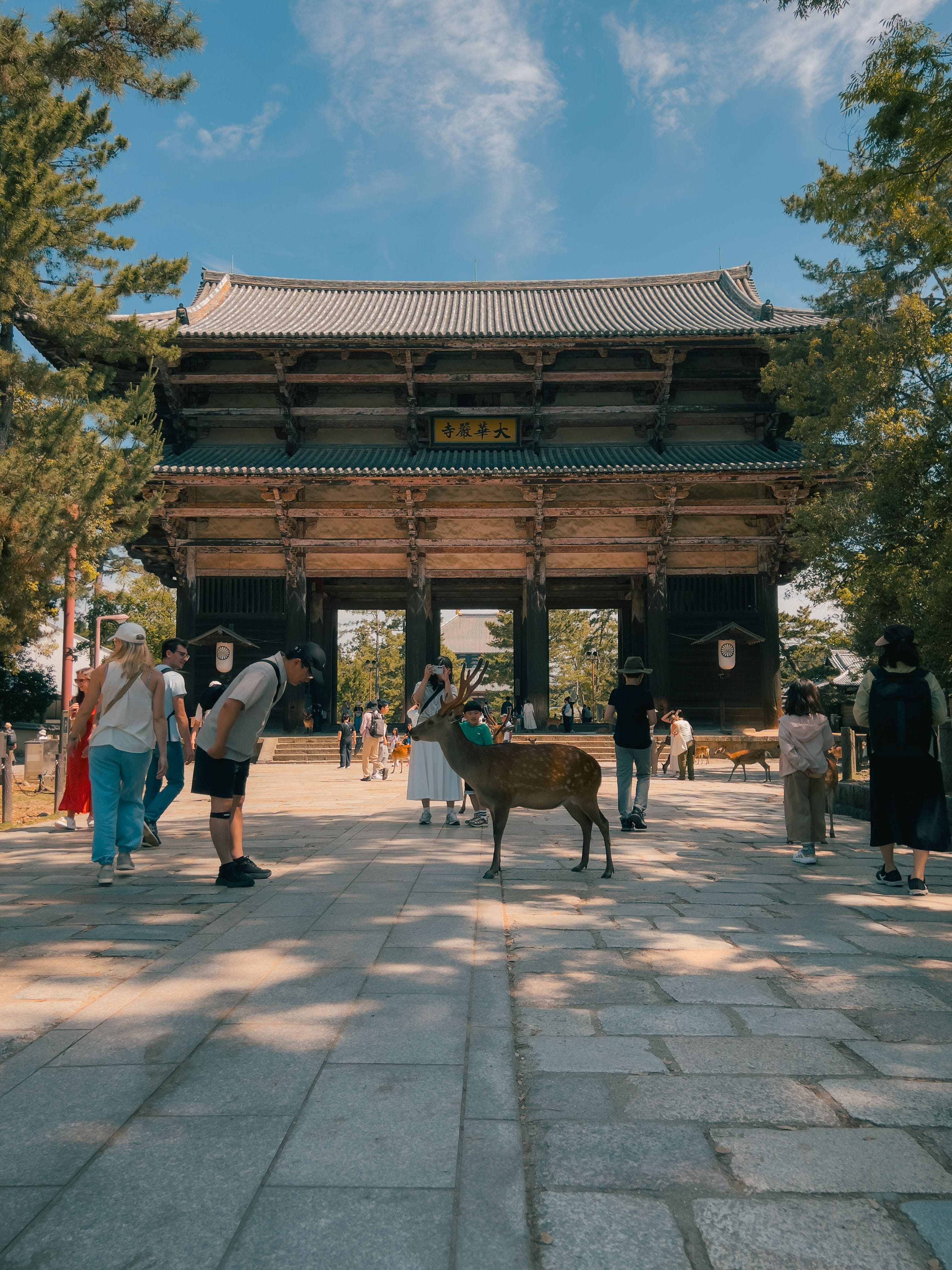 A serene view of luxury boutique stays in Nara Japan