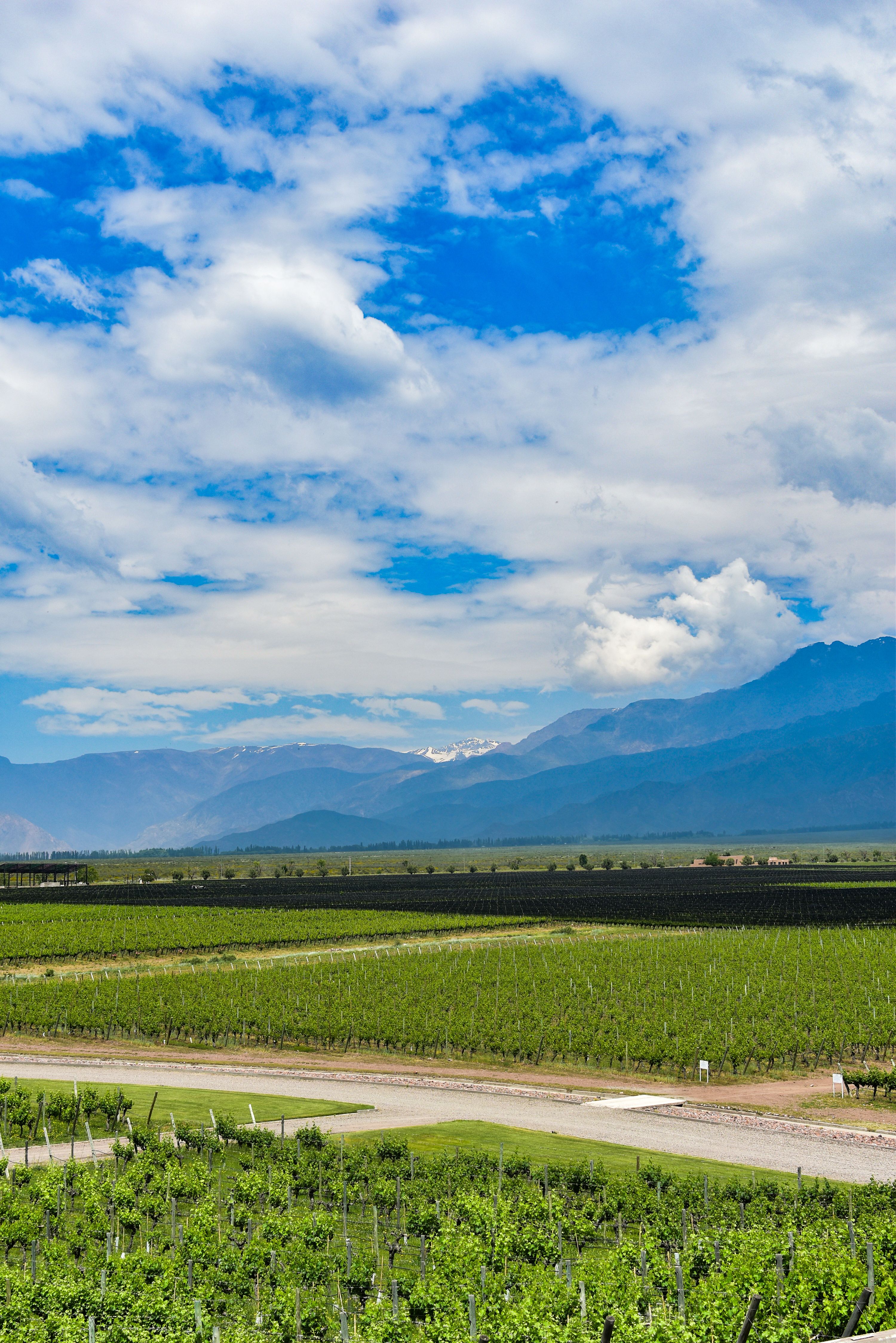 A serene Mendoza luxury vineyard escape featuring the Andes mountains