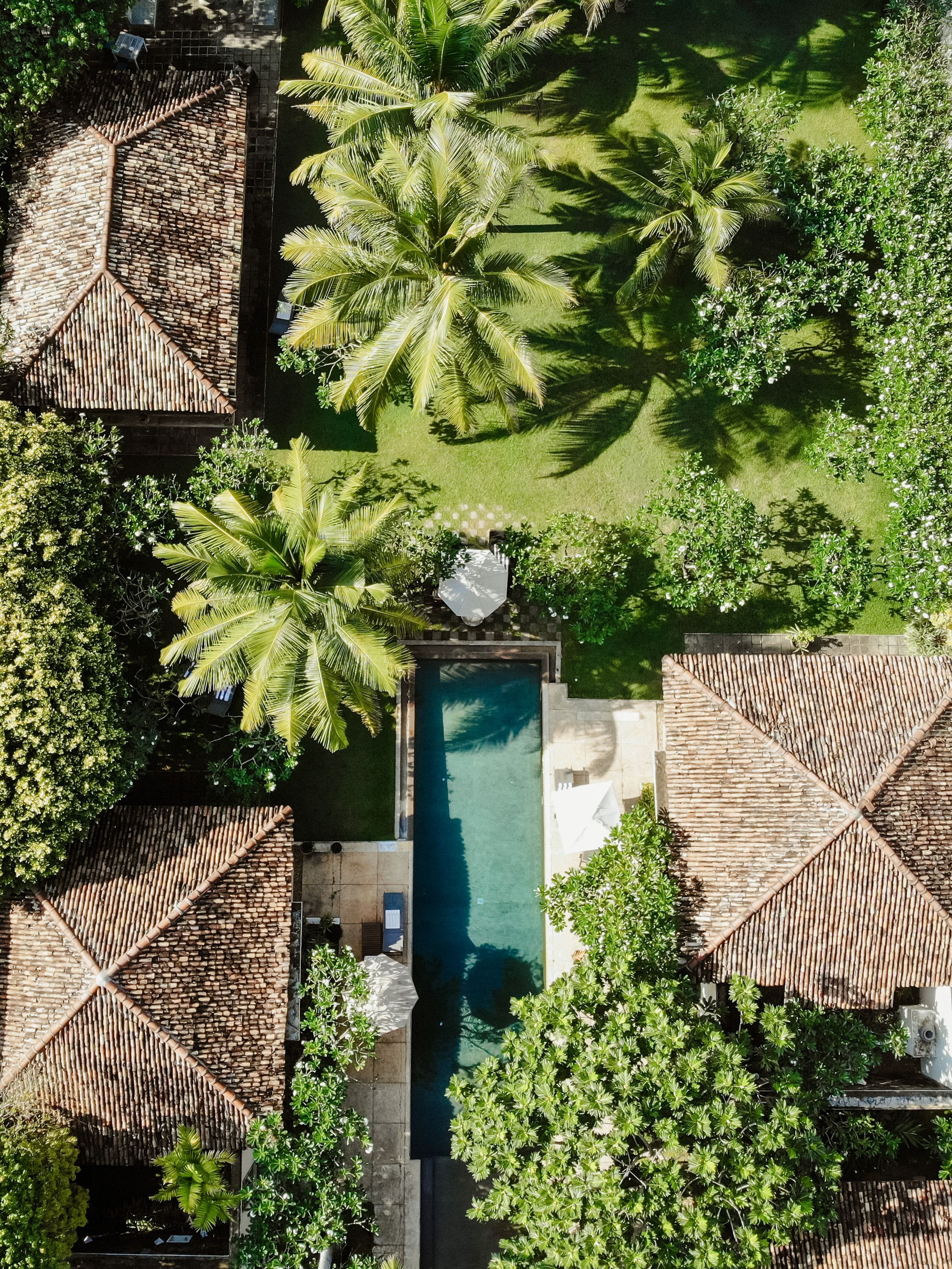A serene view from one of the Sri Lankan highlands luxury retreats