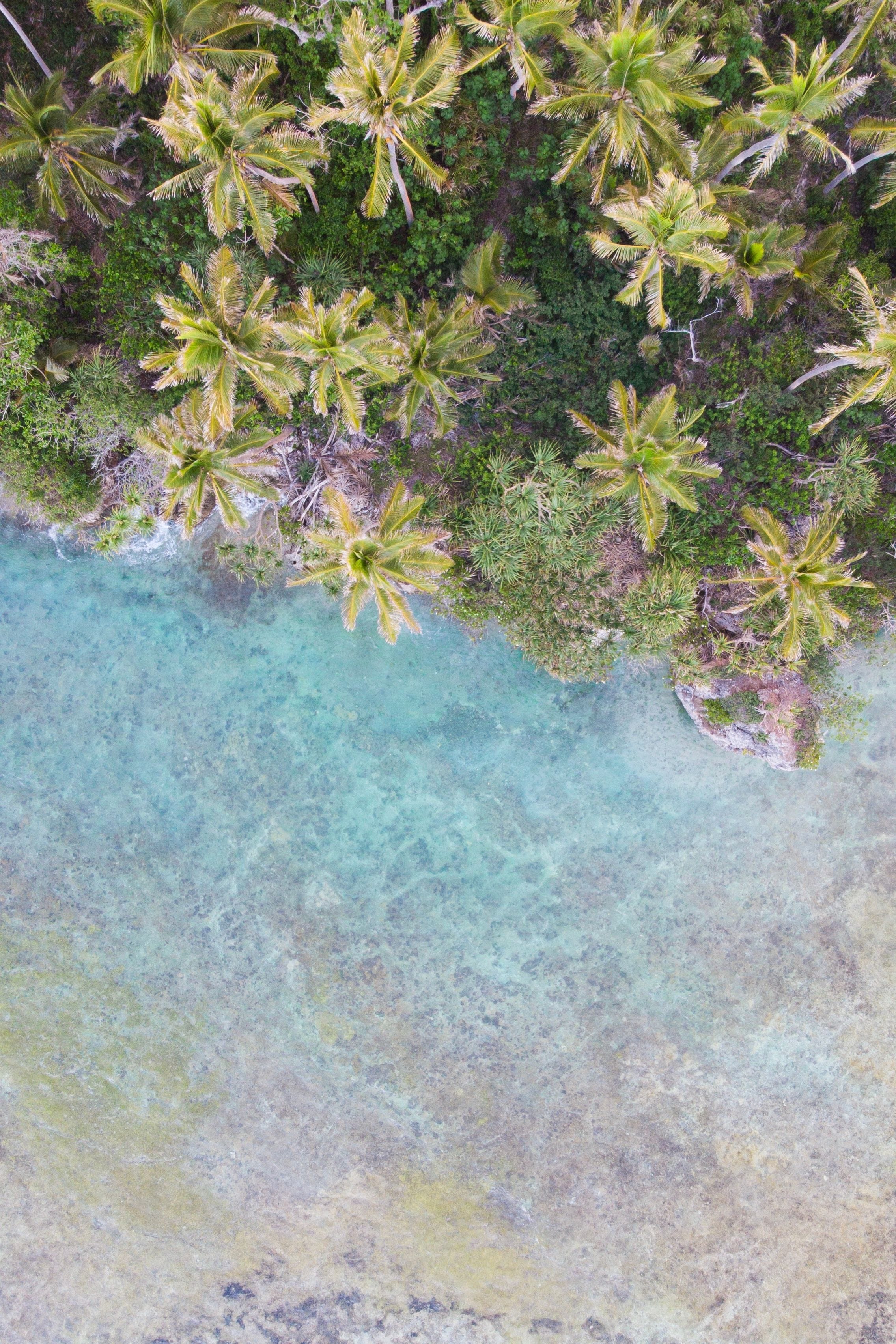 A serene vista of Vanuatu luxury escapes showing refined coastal architecture.