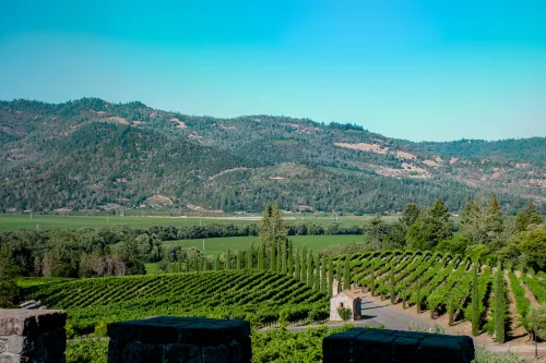 A serene Napa Valley luxury escape featuring golden hour vineyard views