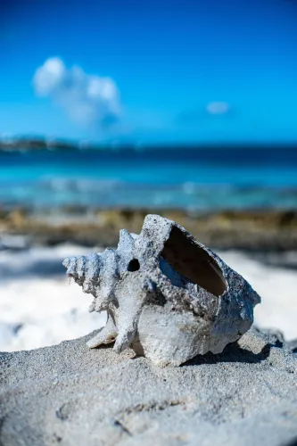 Turks and Caicos luxury retreats coastal view