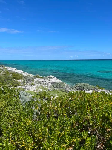 Turks and Caicos luxury retreats coastal view